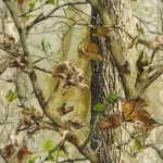 Dead Leaves Tree Hydrographic film